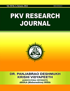 pkv_journal