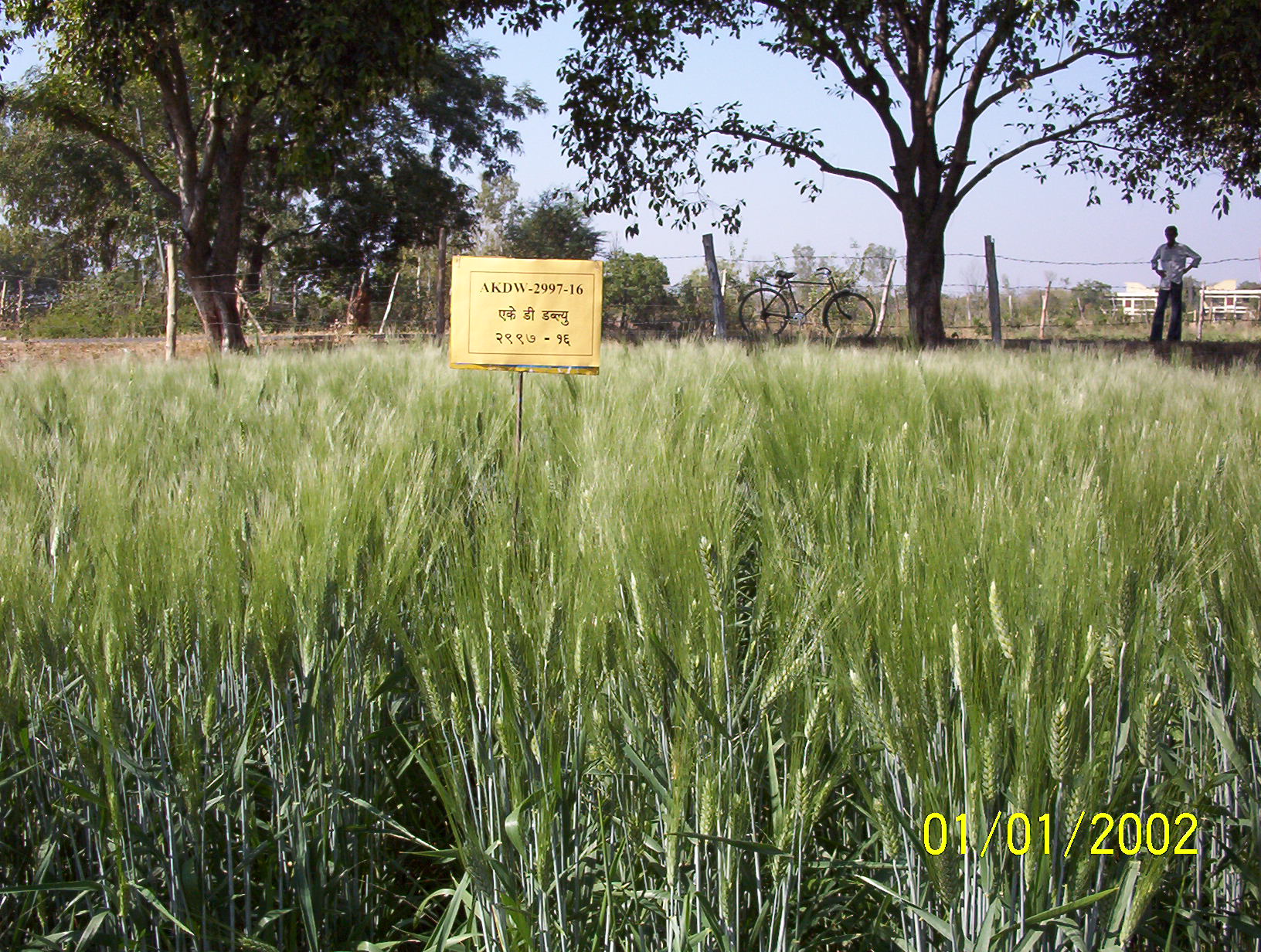Field view 2997-16