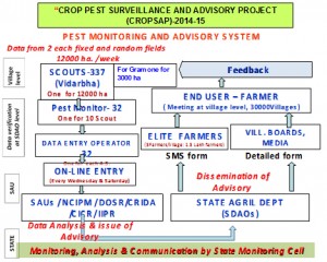 surveilance