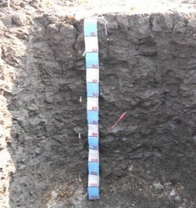 rainfed2