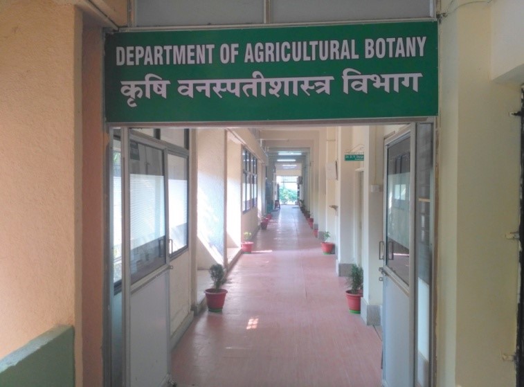 Department of Agricultural Botany eg: Dr. Panjabrao Deshmukh Krishi ...