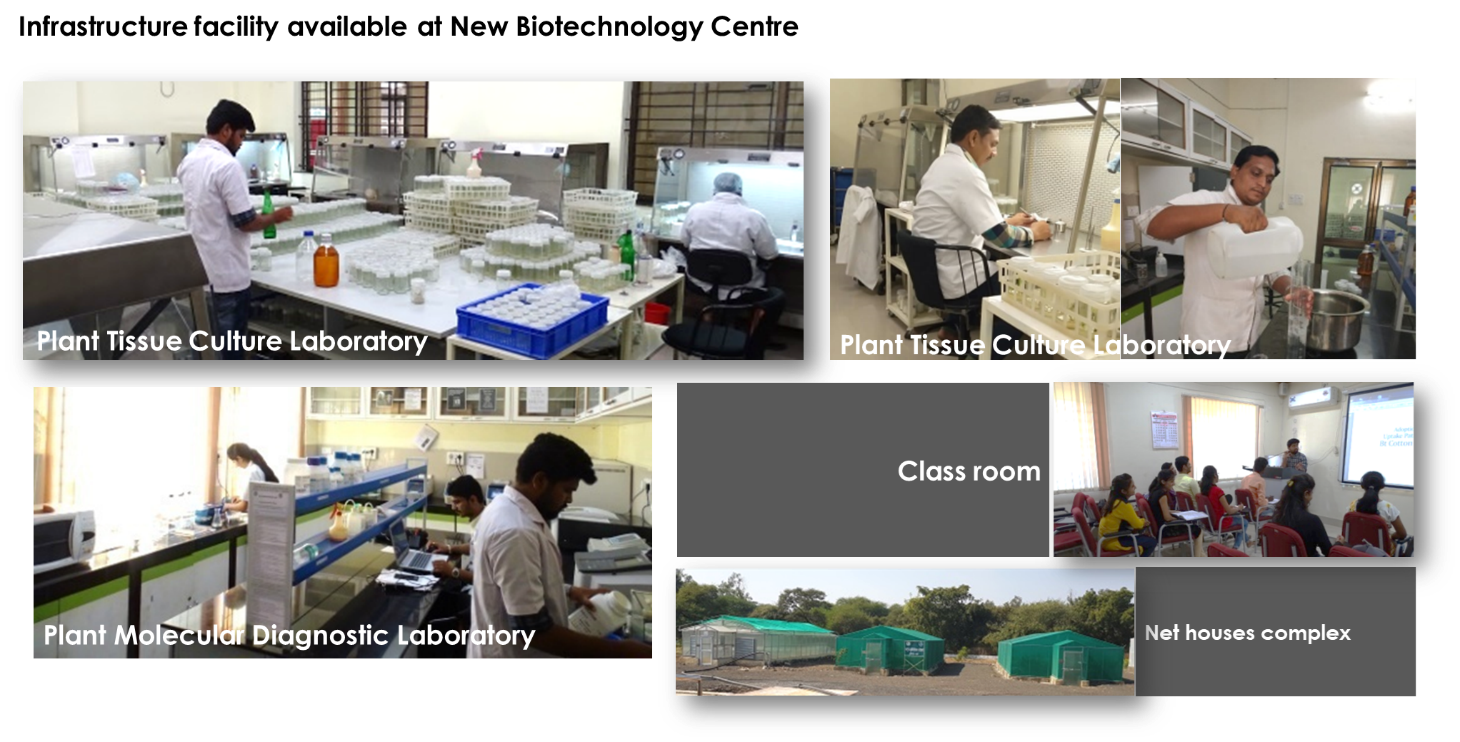 Biotechnology Centre eg: Dr. Panjabrao Deshmukh Krishi Vidyapeeth, Akola