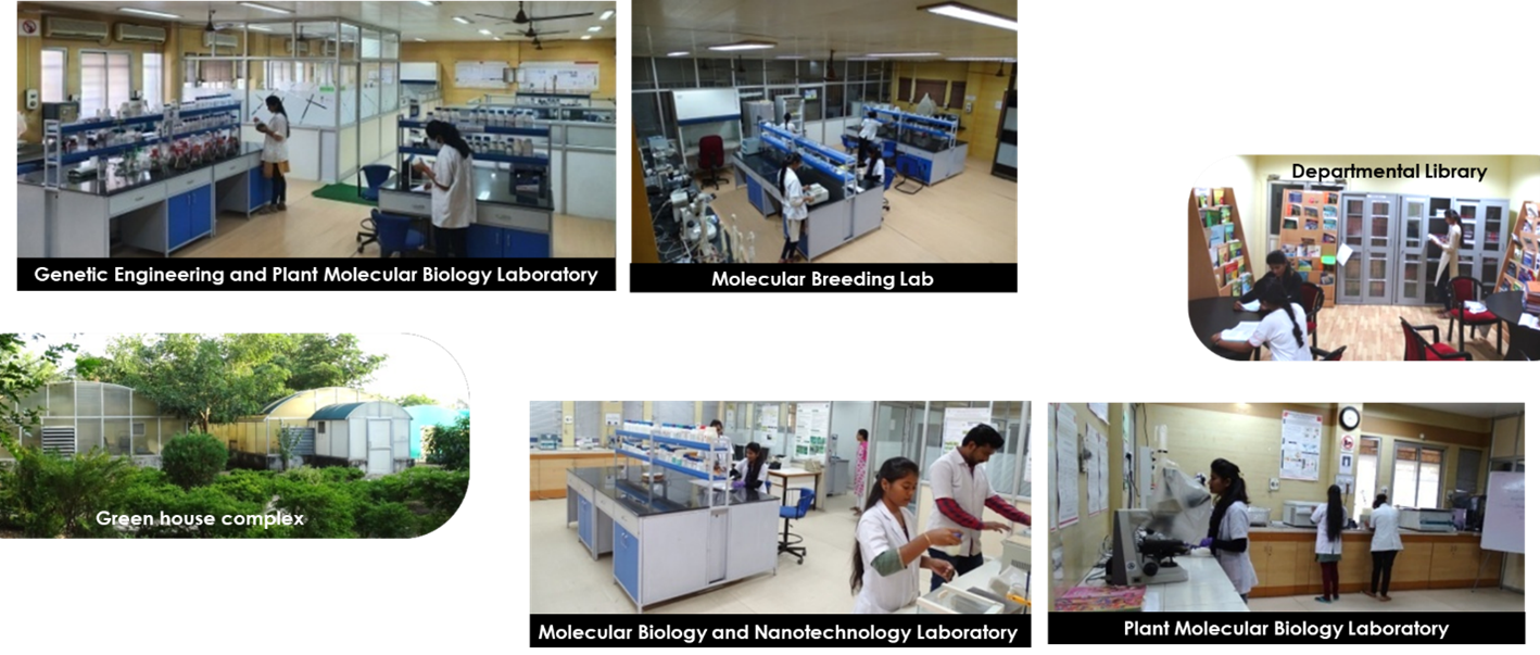 Biotechnology Centre eg: Dr. Panjabrao Deshmukh Krishi Vidyapeeth, Akola